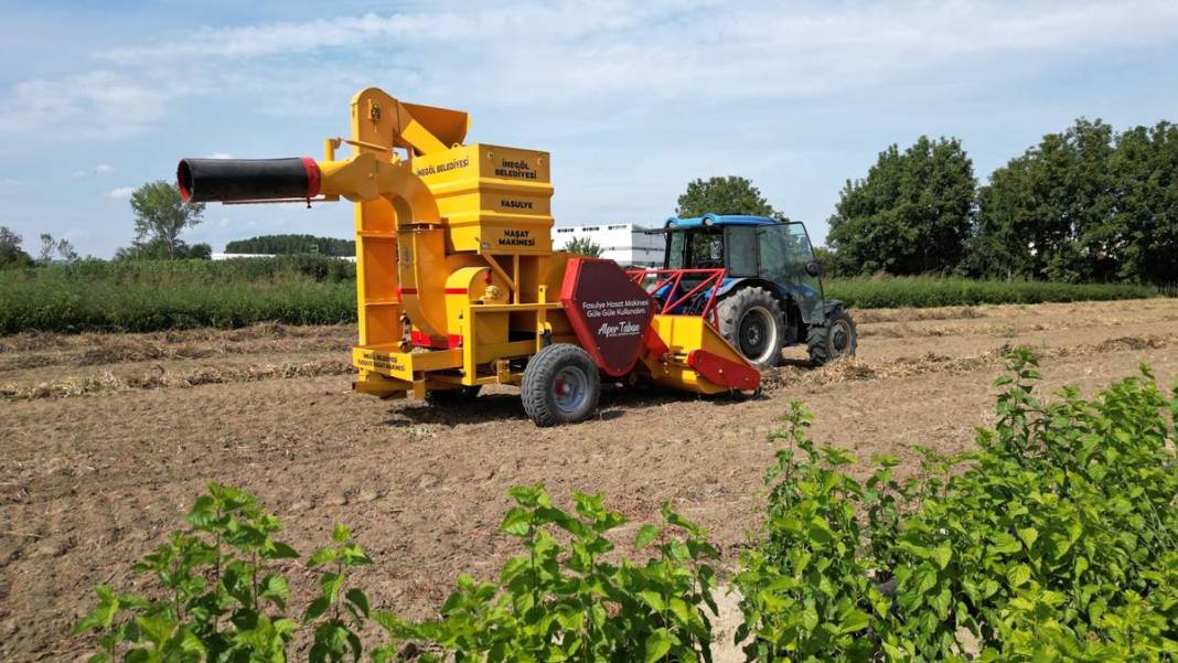 Coğrafi işaretli lezzet için hasat zamanı: Talep patlaması yaşanıyor! Belediye ücretsiz dağıttı 10